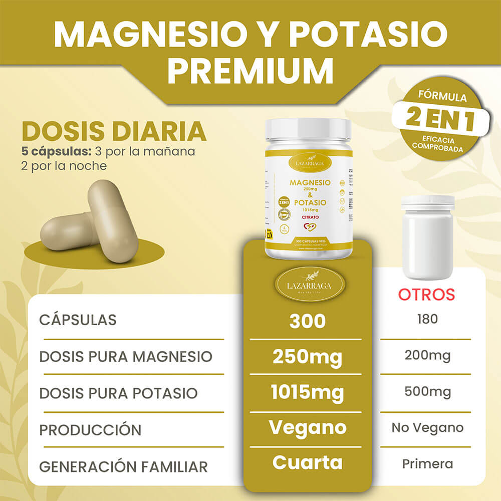 Producto 2