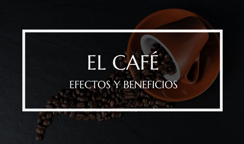Efectos y beneficios del café