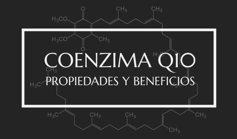 Propiedades y beneficios de la coenzima Q10