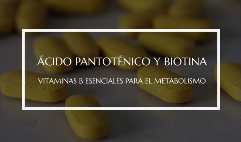 Ácido pantoténico y biotina: vitaminas B esenciales para el metabolismo