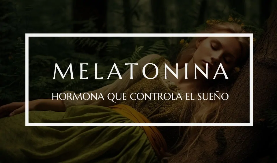 Sobre melatonina