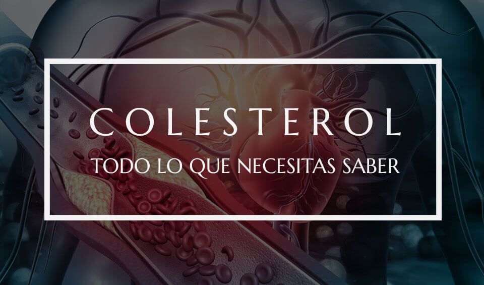 Colesterol: Qué es, cómo afecta a tu salud y cómo controlarlo