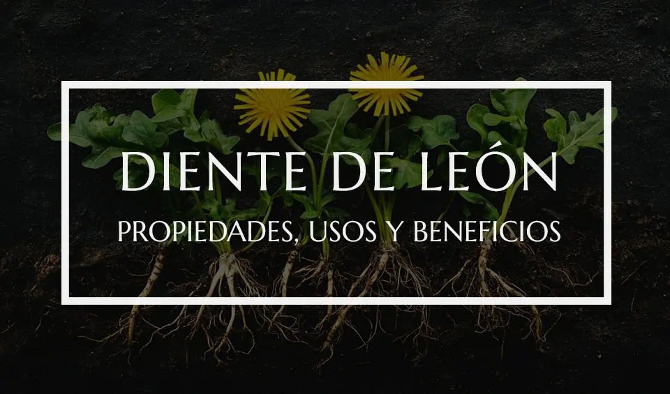 Diente de león