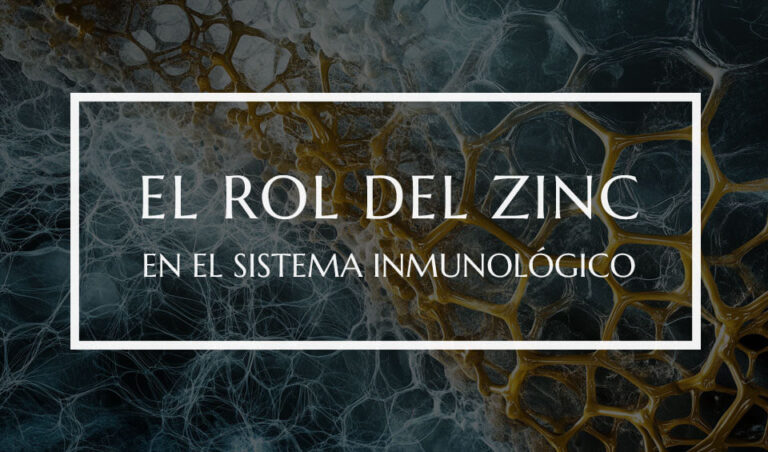 el rol del zinc