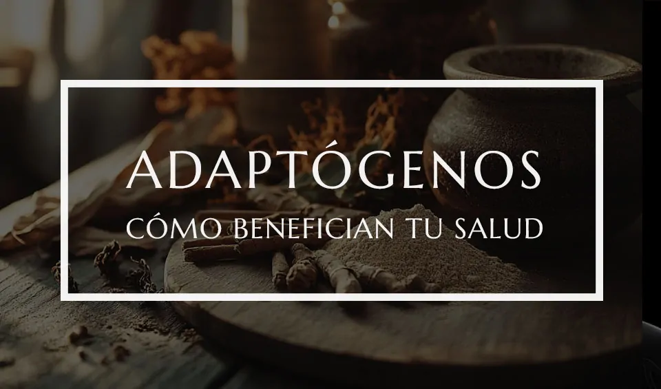 Guía completa sobre adaptógenos