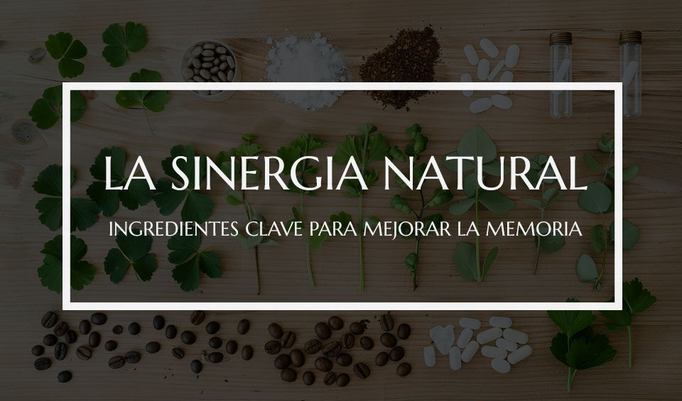 El poder de la sinergia natural