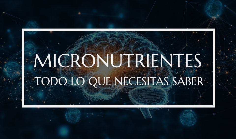 Importancia de los micronutrientes