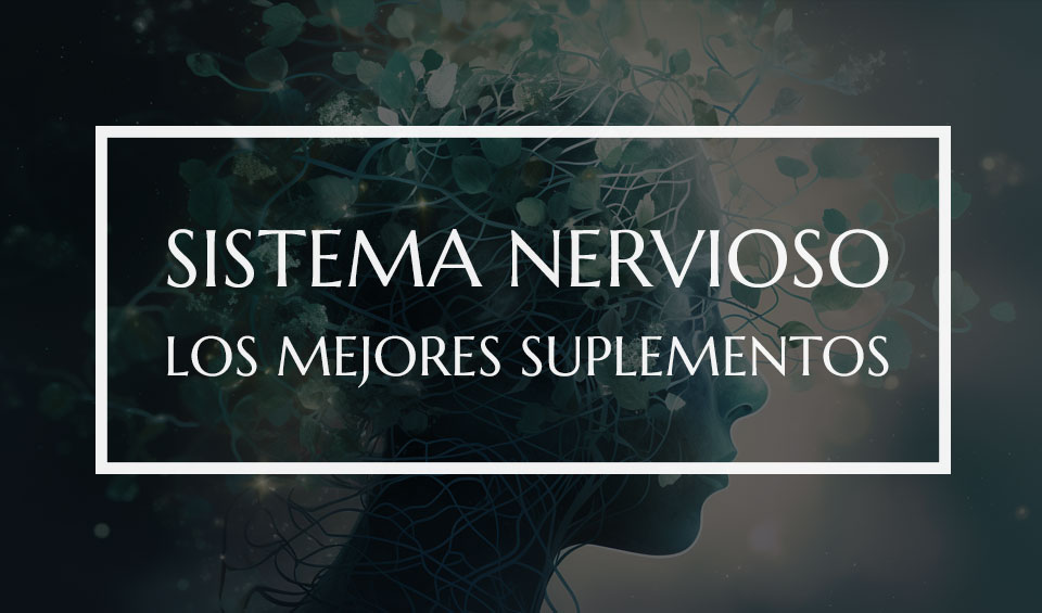 suplementos para el sistema nervioso
