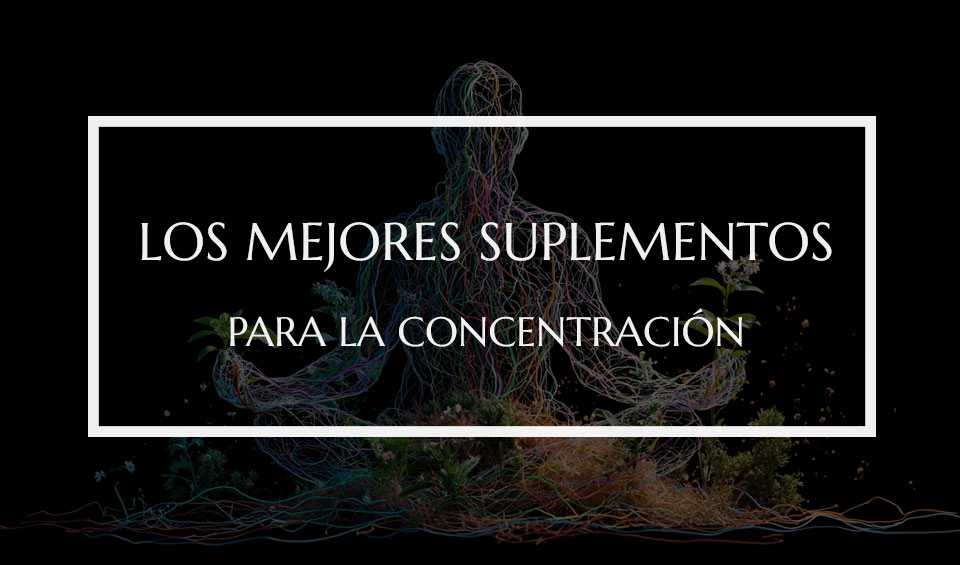 suplementos para la concentración