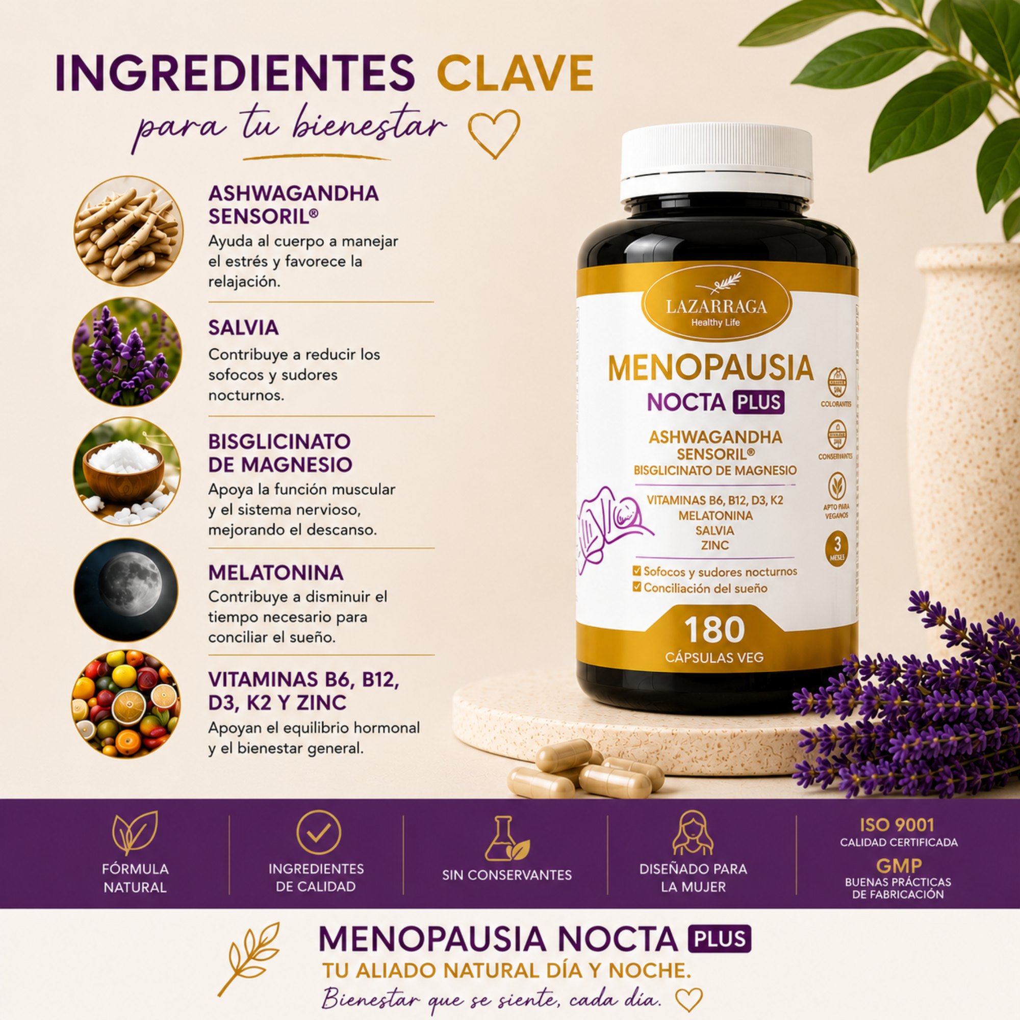 Menopausia Nocta Plus